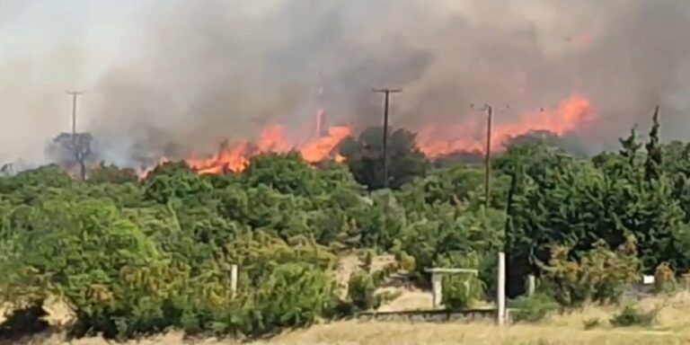 Κόλαση φωτιάς περικύκλωσε την Αλεξανδρούπολη – Μπήκε στη Νίψα, εκκενώθηκαν Άβαντας, Μαίστρος, Αμφιτρίτη, Μοναστηράκι, Δορίσκος