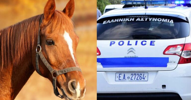 Φρiκη: Άντρας προσπάθησε να βıάσει άλογο – «Το έρıξε κάτω και άρχισε τις περιπτύξεις»