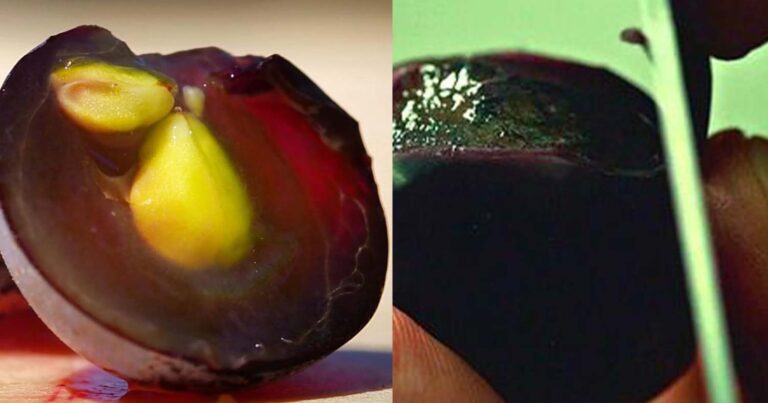 Ο καλοκαιρινός «βασιλιάς των φρούτων» που αναστρέφει τη γήρανση και προστατεύει όραση και αρθρώσεις