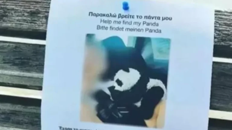 Πήλιο: Αμοιβή 250 ευρώ σε όποιον βρει αυτό το λούτρινο πάντα που έχασε παιδί