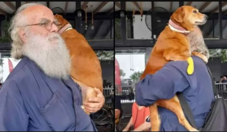 Παπάς στη Λέσβο κουβαλάει στα χέρια μια σκυλίτσα που έχει πρόβλημα με τη μέση της