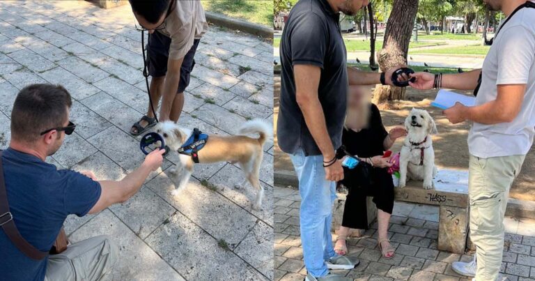 Ελληνική Αστυνομία: Πρόστιμα 300 ευρώ για ζωάκια χωρίς λουρί – Και 100άρια για περιττώματα