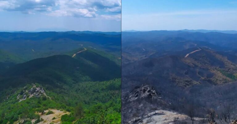 Θλίψη στον Έβρο: Κρανίου τόπος η Δαδιά από τις φωτιές – Φωτογραφίες και βίντεο με το πριν και μετά