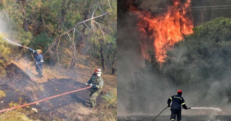 Τραγωδία στον Έβρο-Ιατροδικαστής: Και δύο παιδιά ανάμεσα στα 18 άτομα που απανθρακώθηκαν