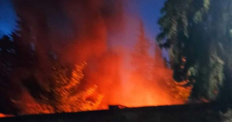 Φωτιά στο Σκοπευτήριο της Καισαριανής – Η Πυροσβεστική και κινητοποιήθηκε άμεσα