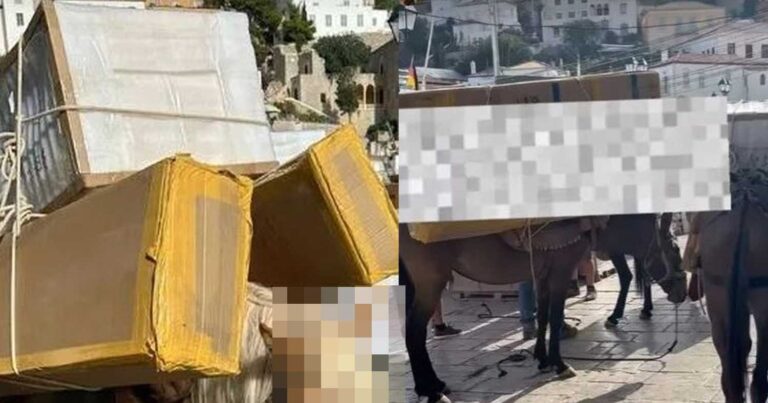 Εικόνες ντροπής στην Ύδρα: Φορτώνουν γαϊδουράκια με βαριά αντικείμενα Εικόνες που προκαλούν αποτροπιασμό, θλίψη και οργή κατέγραψε η Εριέττα