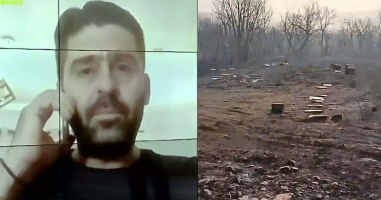 «Κάηκαν 10 εκατ. μέλισσες ήταν η ζωή μου»: Συγκλονίζει μελισσοκόμος που βρήκε τα 220 μελίσσια του καμένα στην Αλεξανδρούπολη