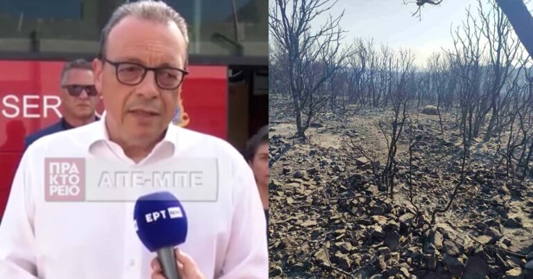 Φάμελλος από Έβρο: «Δεν υπάρχει δικαιολογία, ούτε συγνώμη μετά από 4 χρόνια διακυβέρνηση»