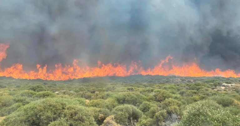 Nέα μεγάλη φωτιά στην Άνδρο: Ήχησε το 112 και εκκενώνεται οικισμός