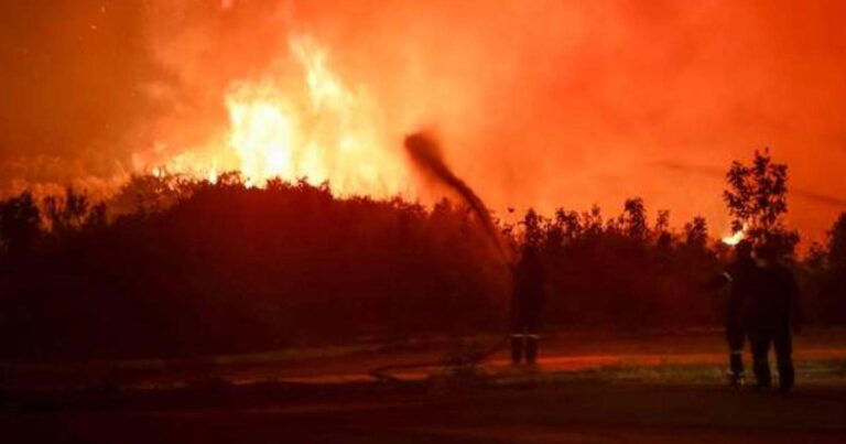 Φωτιά στον Έβρο: Για όγδοη σερί μέρα δίνεται η μάχη στα πύρινα μέτωπα – Κομβικές οι επόμενες 48 ώρες