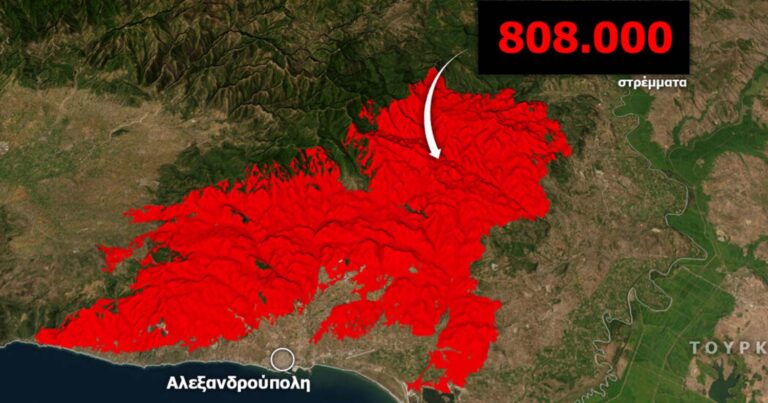 Φωτία στον Έβρο: Τεράστια περιβαλλοντική καταστροφή – Καμένα πάνω από 800.000 στρέμματα