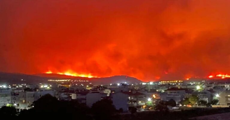 Δίχως τέλος η μεγαλύτερη φωτιά της Ευρώπης, πύρινος εφιάλτης στον Έβρο για 12η νύχτα – Αναδάσωση υπόσχεται η κυβέρνηση