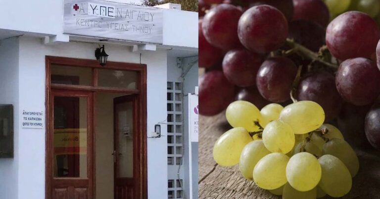 Θάνατος παιδιού στην Τήνο από σταφύλι: «Αν το Κέντρο Υγείας δεν ήταν τόσο υποστελεχωμένο, μπορεί να υπήρχε ελπίδα»