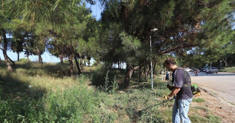 Βαριά «καμπάνα» για όσους δεν καθαρίζουν τα οικόπεδά τους – Πρόστιμα και για απλήρωτους λογαριασμούς ηλεκτρικού