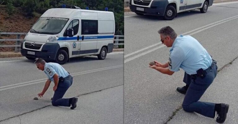 Καστοριά: Aστυνομικός βοήθησε χελωνάκι να περάσει με ασφάλεια τον δρόμο