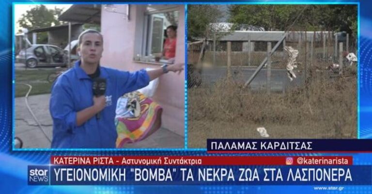 Θεσσαλία: Ξέσπασμα ρεπόρτερ του STAR για τα νεκρά ζώα στα λασπόνερα! «Να τα πετάξουν πού; Στα χωράφια που λιμνάζουν;»
