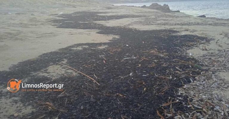 Αποκαΐδια από τα καμένα του Έβρου ξεβράστηκαν στη Λήμνο