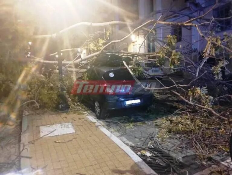 Πάτρα: Δέντρο καταπλάκωσε γυναiκα που περίμενε το παιδi της από το φροντιστήριο