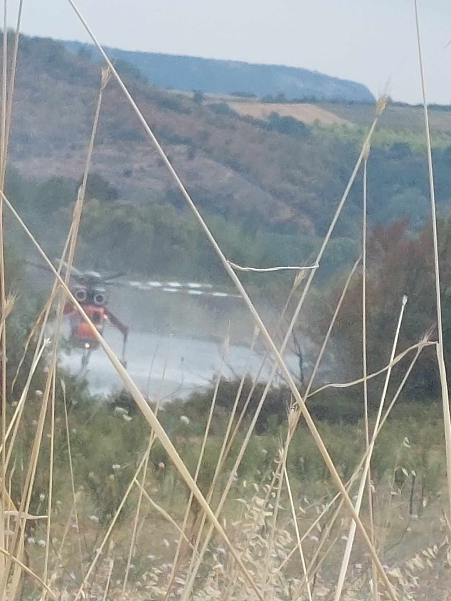 371517434 696265838983505 4882089446819794432 n