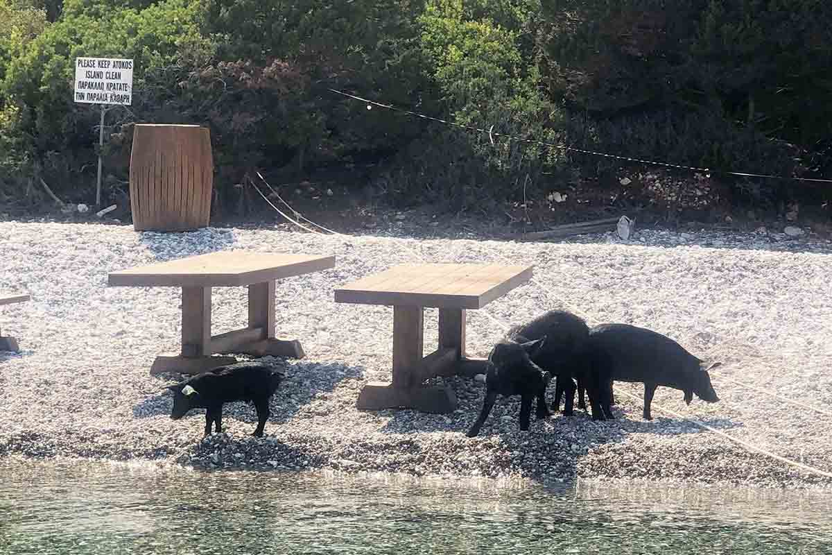 Το ιδιωτικό νησί της οικογένειας Τσάκου