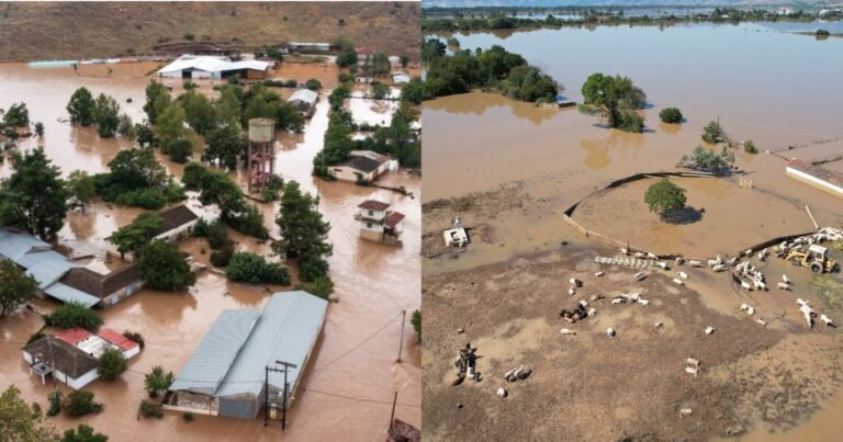 Άσχημα νέα για τους κατοίκους της Θεσσαλίας με αυτό που έρχεται μετά τις πλημμύρες, ξεκίνησε ήδη το κακό