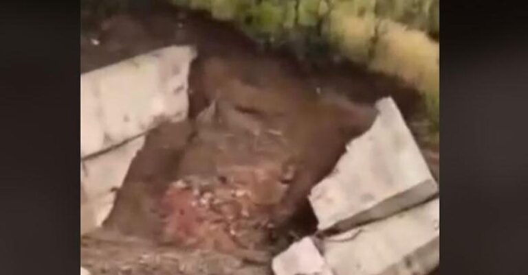 Εύβοια: Έσπασαν τα φράγματα πάνω από τις Ροβιές – Δεν ήταν oπλισμένα με σίδερο