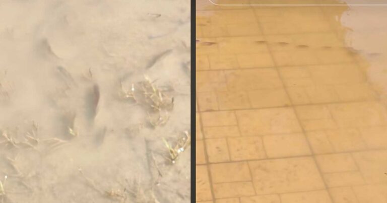 Απίστευτες εικόνες στη Λάρισα: Ψάρια κολυμπούν στα πεζοδρόμια του κέντρου της πόλης