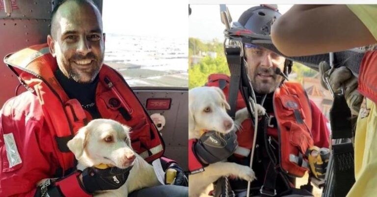 Έδωσαν μάθημα ανθρωπιάς: Η συγκινητική διάσωση της σκυλίτσας Luna από ελικόπτερο του Πολεμικού Ναυτικού