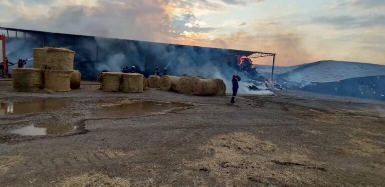 Έβρος: Κάηκε κτηνοτροφική μονάδα απ’ τη φωτιά – Επιχειρούν πυροσβεστικά αεροπλάνα και ελικόπτερα