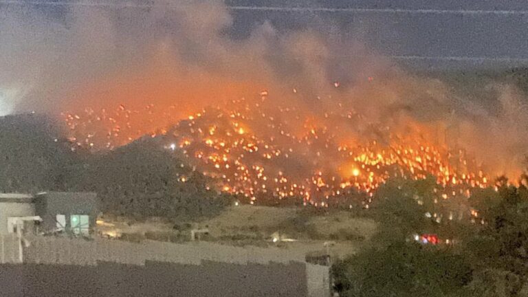 «Έβαλα τη φωτιά, γιατί οι γονείς μου ήθελαν να συνεχίσω τη σχολή»