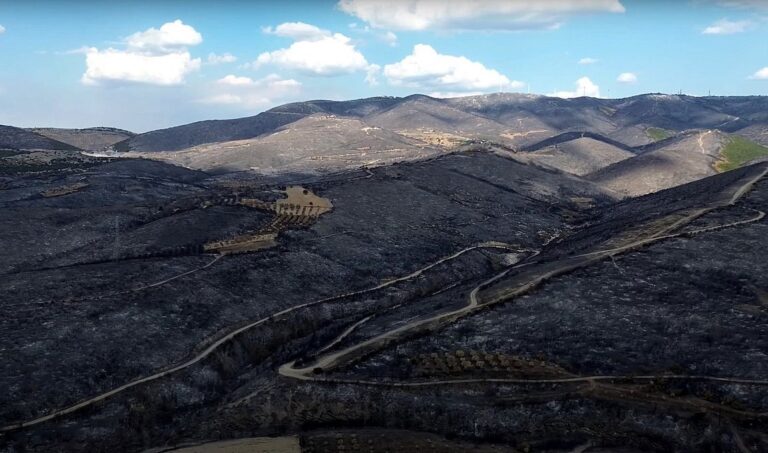 Σοκ και δέος από τις θλιβερές εικόνες της καταστροφής στον Έβρο
