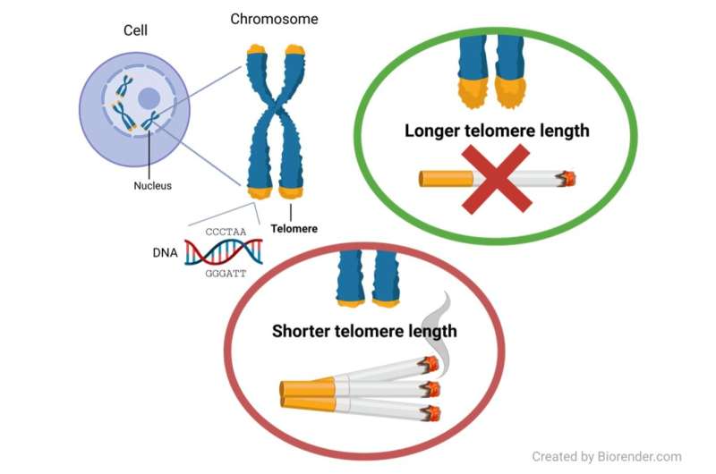 Μεγάλη μελέτη αποκαλύπτει ότι το κάπνισμα επιταχύνει τη γήρανση