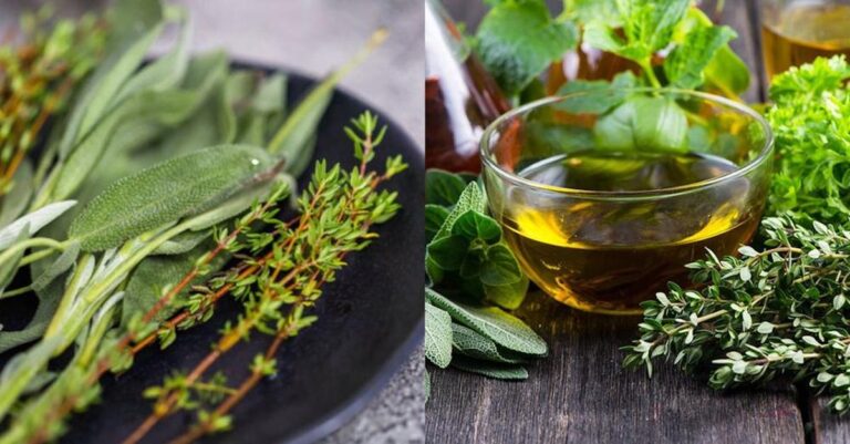 Η λύση σε πονοκέφαλο, φούσκωμα, μνήμη, άσθμα: Το αρωματικό βότανο που προσθέτει χρόνια ζωής και βελτιώνει την υγεία