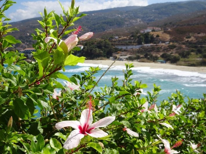 ikaria7 710x532 1
