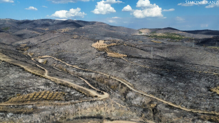 Έβρος: Αδειοδοτούν αιολικά στα καμένα & μέσα σε Natura