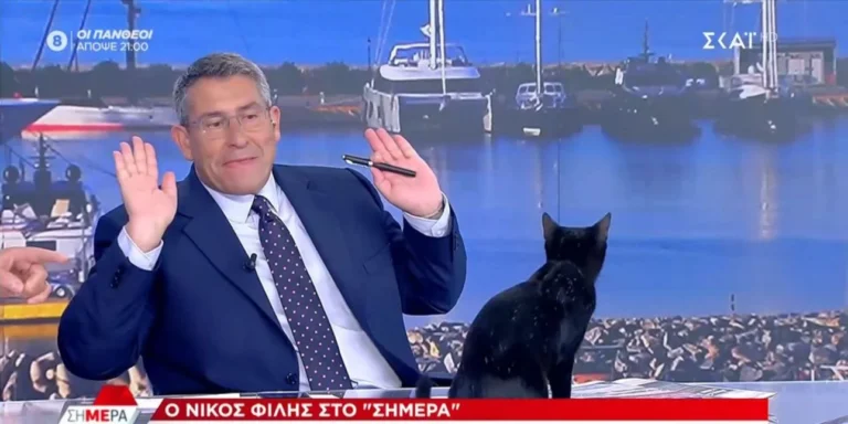 Μαύρη γάτα μπούκαρε στο στούνιο του ΣΚΑΪ και ξάφνιασε τους πάντες