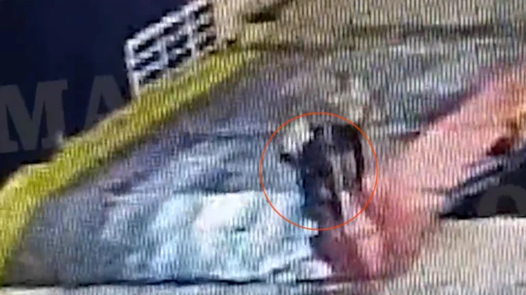 Συνελήφθησαν καπετάνιος και πλήρωμα του Blue Horizon για τον επιβάτη που σκοτώθηκε