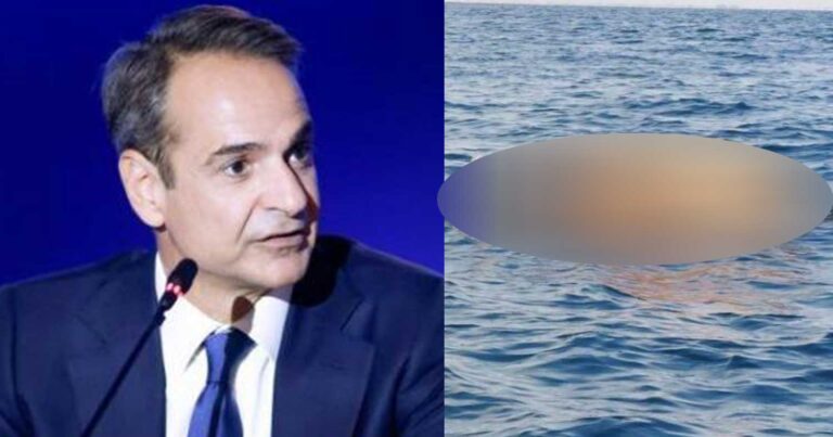 Νεκρń αγελάδα επιπλέει στο Θερμαϊκό ενώ ο πρωθυπουργός κάνει δηλώσεις στη ΔΕΘ