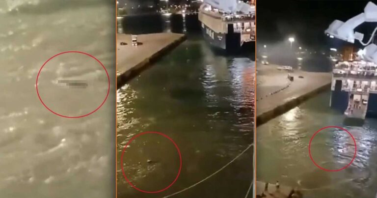 «Σώστε τον, μαζέψτε τον»: Νέο βίντεο-σoκ από τη δολοφονiα του 36χρονου Αντώνη  στο λιμάνι του Πειραιά