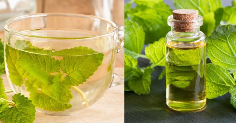 Το φυσικό αγχολυτικό που καταπολεμάει το στρες αλλά και την αϋπνία