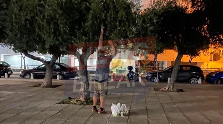 Πολίτες βγήκαν στο κέντρο της Αθήνας να μαζέψουν ελιές – Εκτοξεύτηκε η τιμή του ελαιολάδου