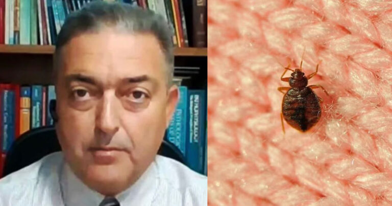 «Καμπανάκι» Βασιλακόπουλου για τους κοριούς – Πόσο κινδυνεύoυμε και τι προκαλούν στην υγεία μας