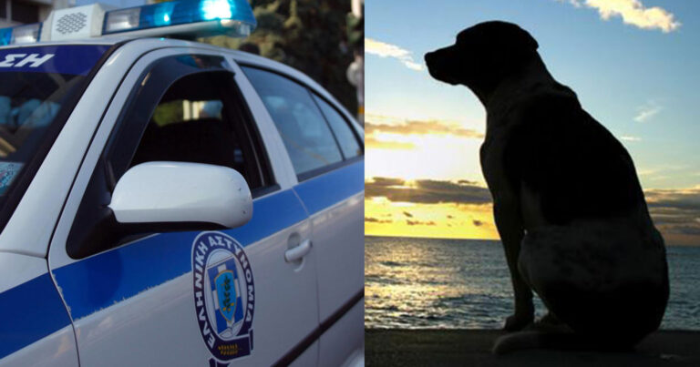 Σεπολια: Έριξε φóλα στον σκύλο της επειδή του ζήτησε να χωρίσουν