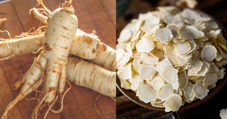 Η πολύτιμη αρχαία ρίζα που καταπολεμά κρυολόγημα και στυτικń δυσλειτουργία