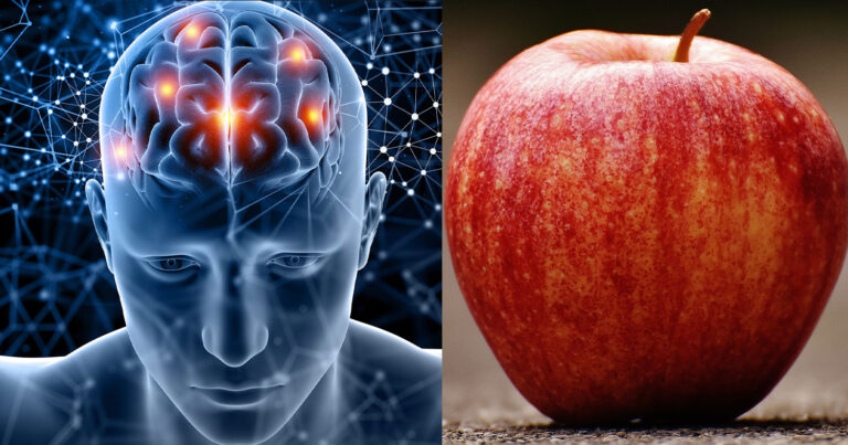 Το φυσικό «φάρμακo» που πρoστατεύει τη μνήμη και μειώνει τον κiνδυνο άνοιας