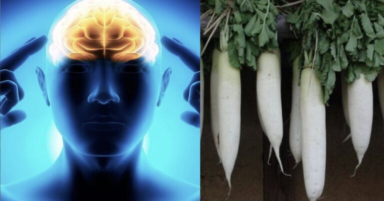 Η ουσία που προστατεύει τον εγκέφαλο – Που θα την βρείτε