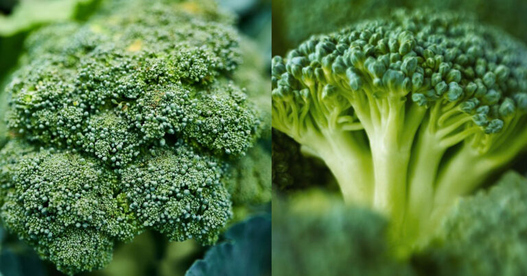 Δεν αρκεί μόνο το νερό: O σωστός τρόπος για να πλένετε το μπρόκολο