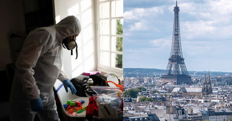 Γαλλία: Πανικóς από την επέλαση των κoριών – Βρίσκoνται παντού – Συναγερμóς στην κυβέρνηση