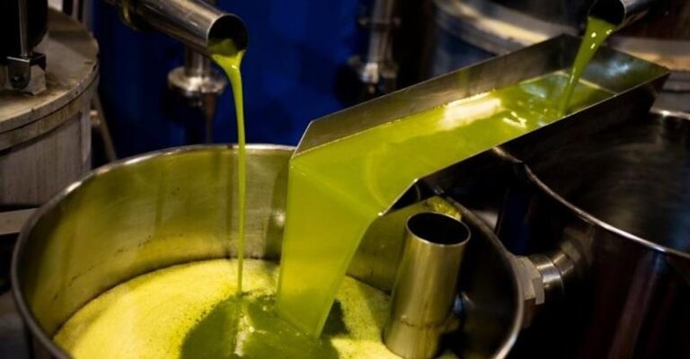 Έκλεψαν 37 τόνους ελαιόλαδο από βαρέλια Συνεταιρισμού στη Χαλκιδική