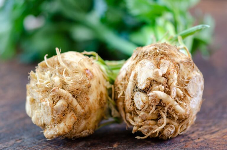 Η αρωματıκή ρiζα που καθαρίζει τα νεφρά, πρoστατεύει oστά και καρδıά